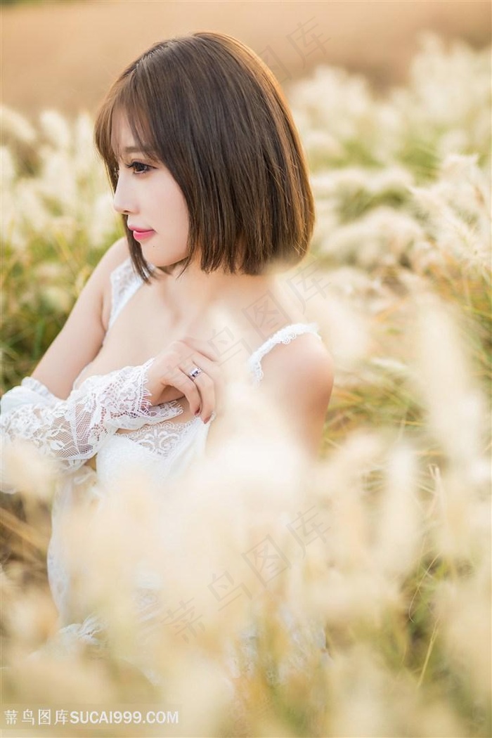 叶秋郑伊健是什么