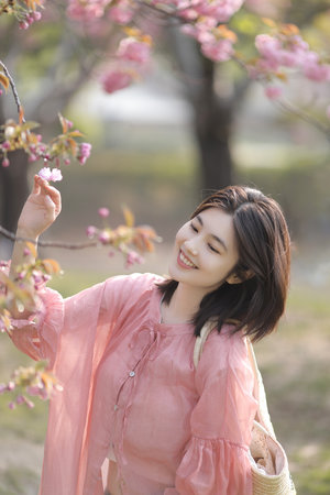 蜜蜂总动员电影下载