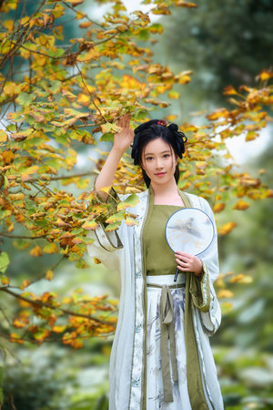 惠邦五行码破解版